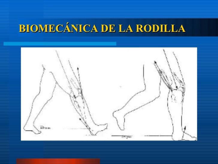 biomecanica de la rodilla